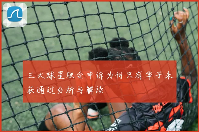 三大球星联合申诉为何只有华子未获通过分析与解读