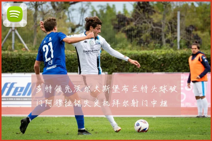 多特领先沃尔夫斯堡布兰特头球破门阿穆拉错失良机拜尔射门中框